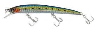 Molix Finder Jerk EVO 110 SS - 